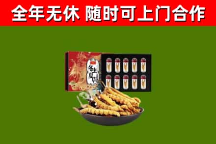 宜兴回收冬虫夏草价格