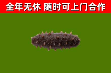 宜兴烟酒回收干海参.jpg
